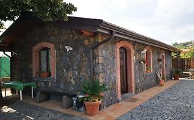 Il Tiglio