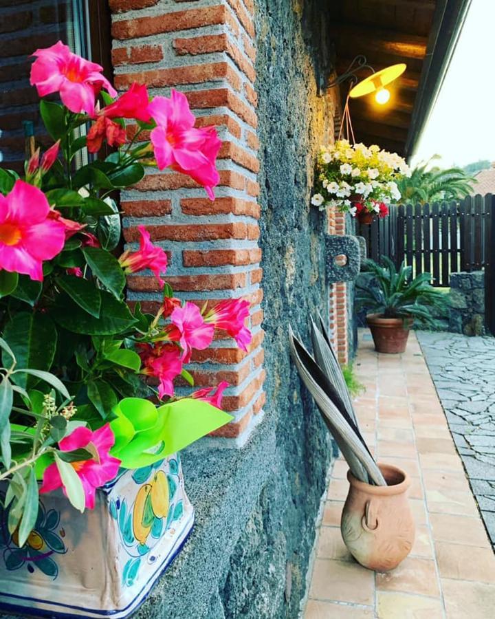 Appartement Il Tiglio à Viagrande Extérieur photo
